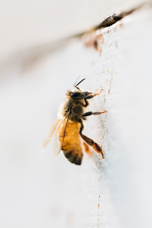 Find a Photographer-32.jpg